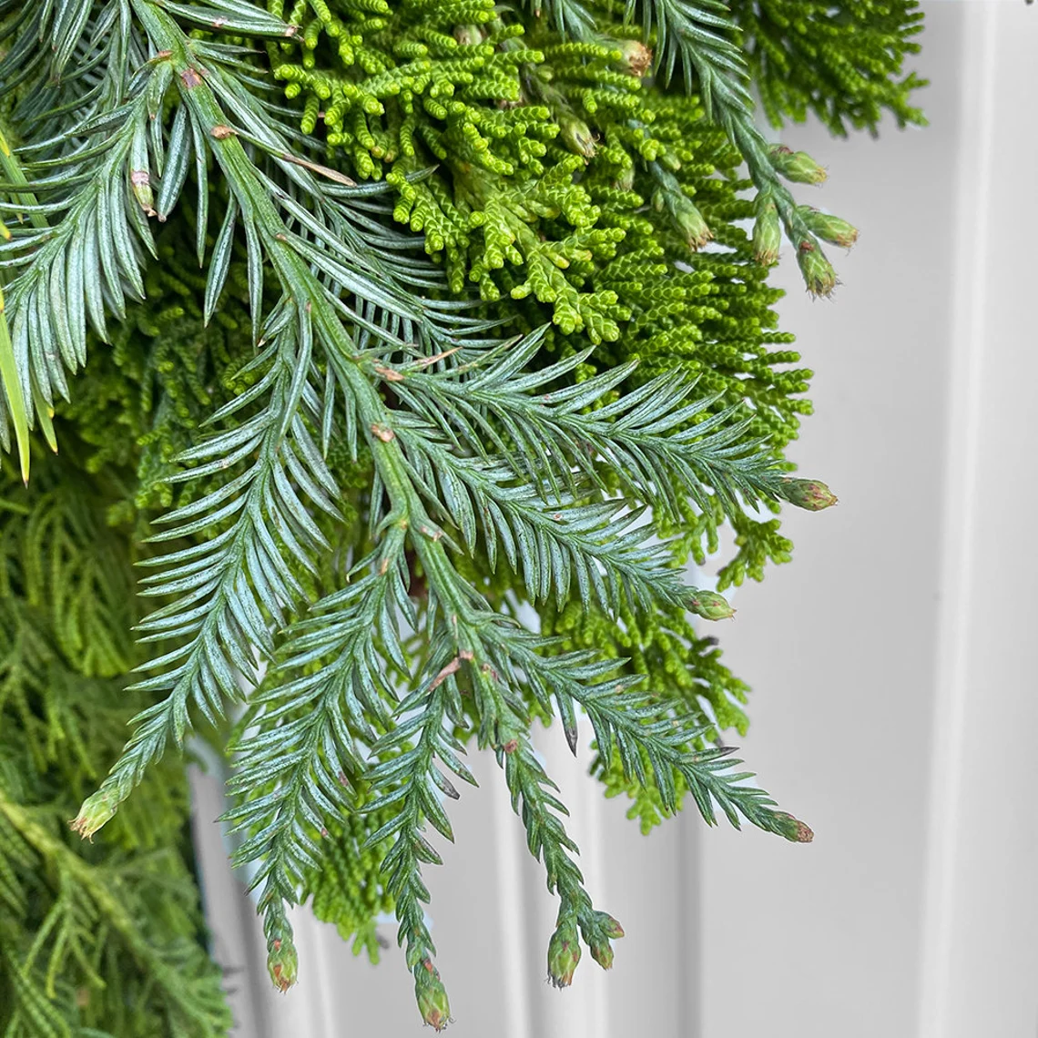 Fresh Redwood Cedar & Pine Wreath