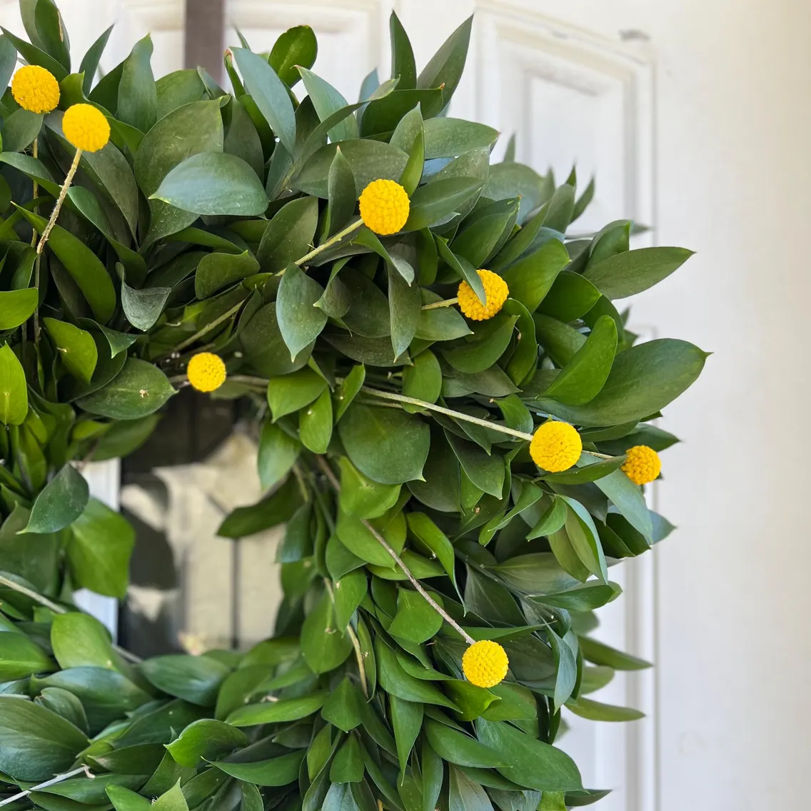 Fresh Ruscus and Craspedia Wreath