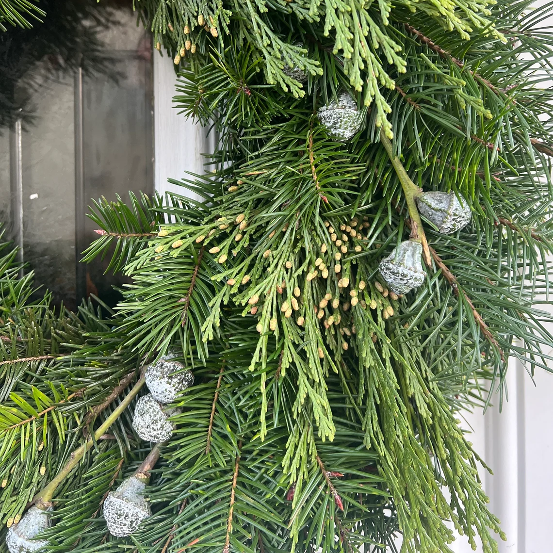 Fresh Silver Bells, Cedar, Fir Greenery Wreath