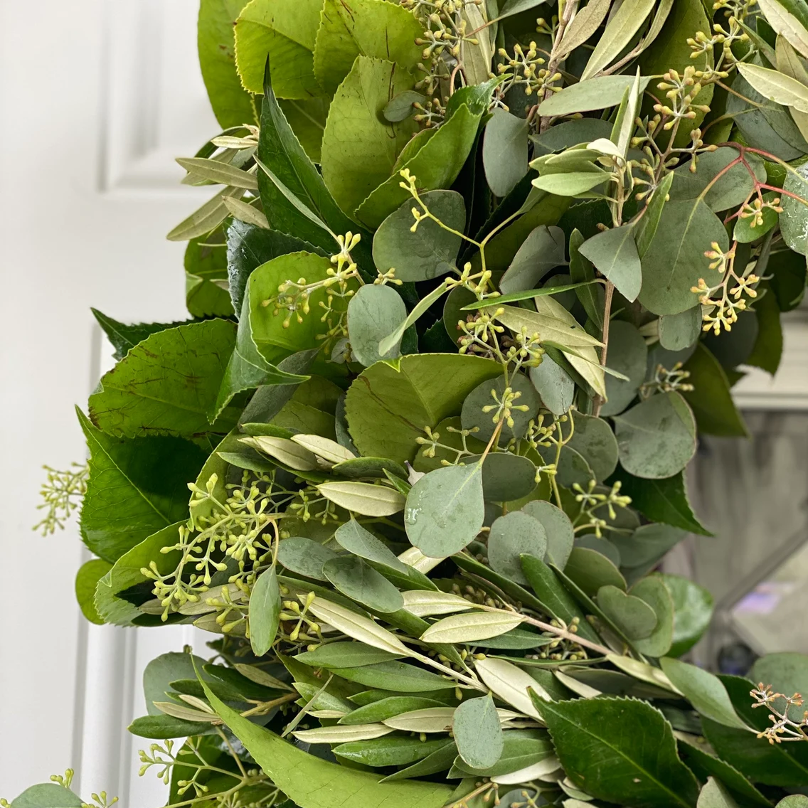 Fresh Seeded Eucalyptus Olive and Camellia Wreath