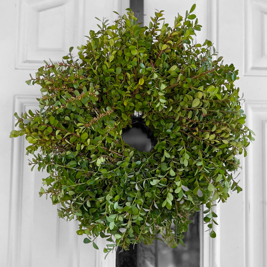 Fresh Boxwood Greenery Wreath