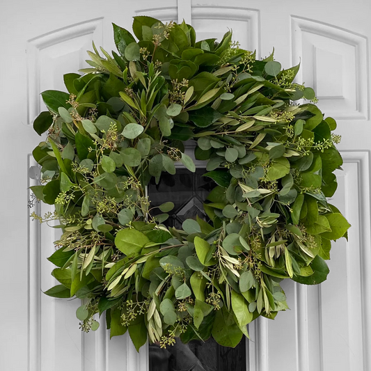 Fresh Seeded Eucalyptus Olive and Camellia Wreath