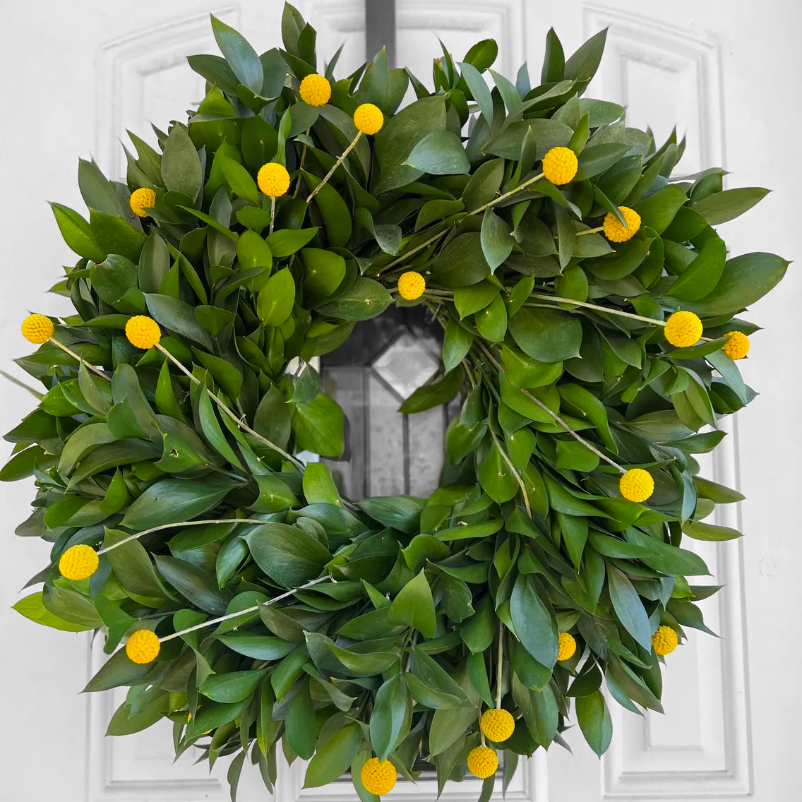 Fresh Ruscus and Craspedia Wreath