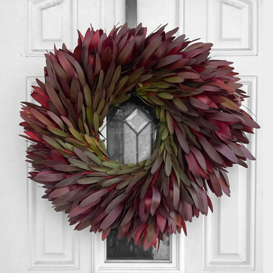 Fresh Safari Sunset Leucadendron Wreath