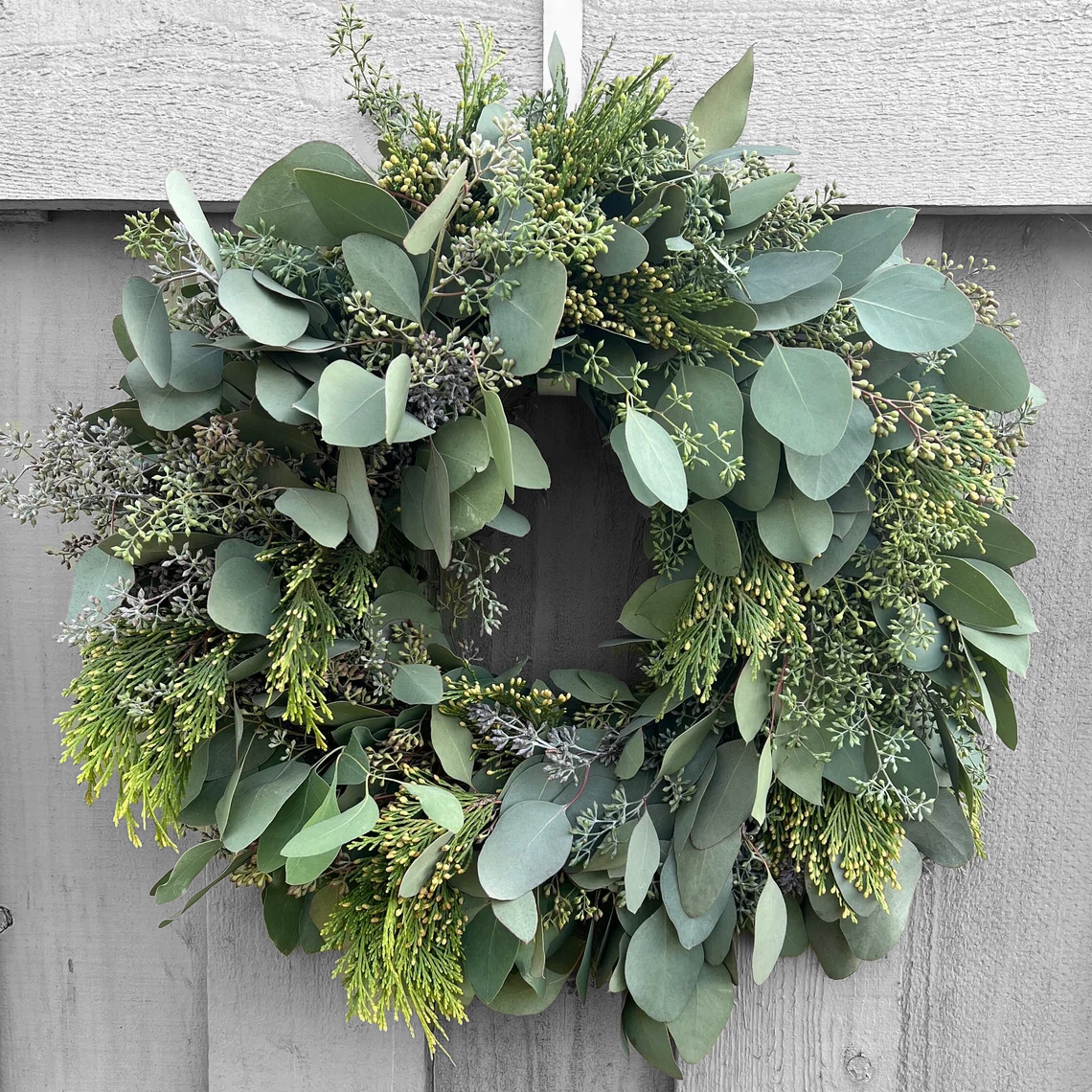 Fresh Seeded Eucalyptus and Cedar Wreath