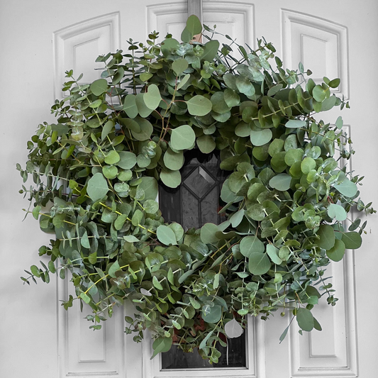 Fresh Spiral and Silver Dollar Eucalyptus Wreath