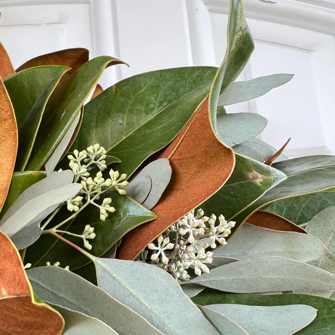 Fresh Seeded Eucalyptus and Magnolia Wreath