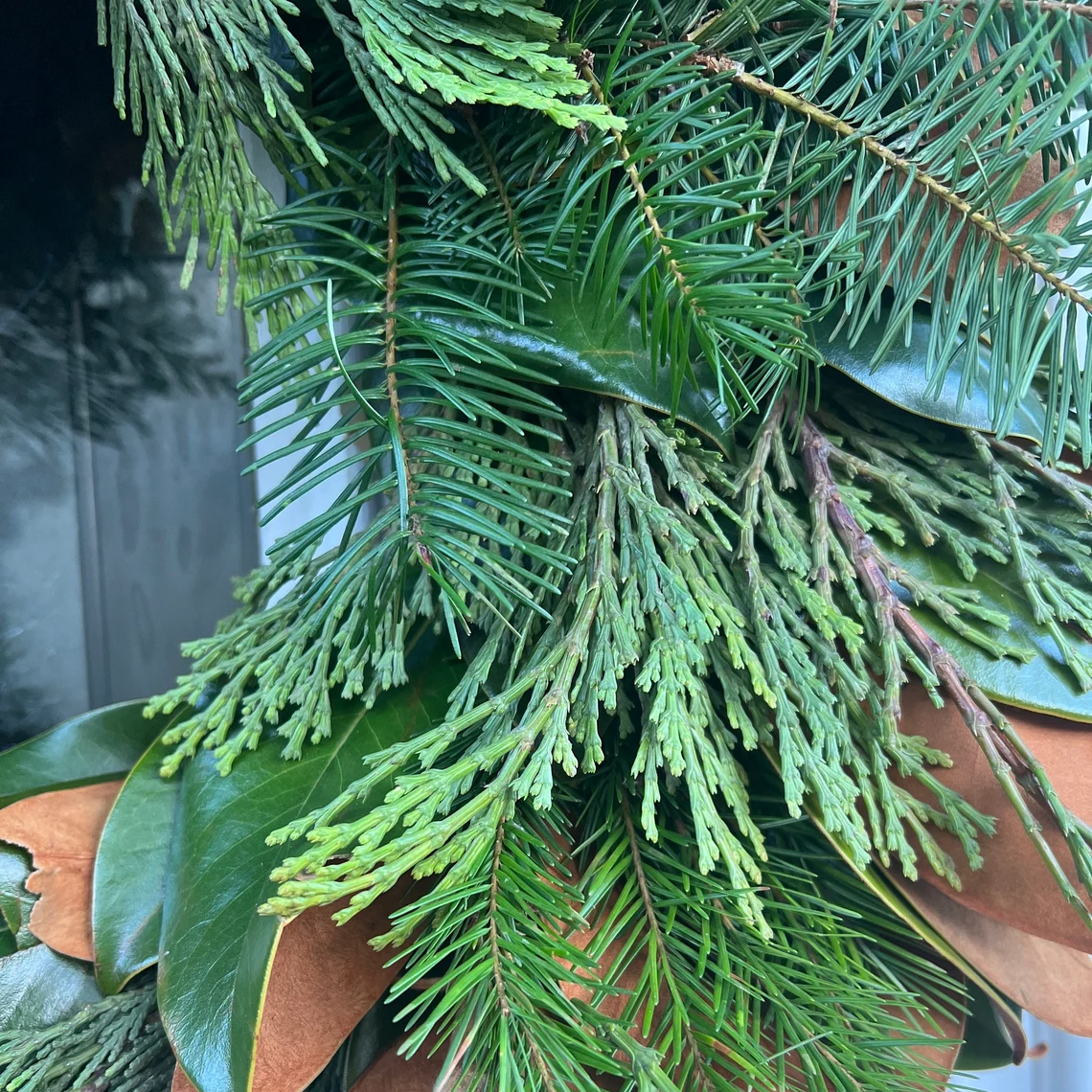 Fresh Magnolia, Cedar, and Fir Wreath