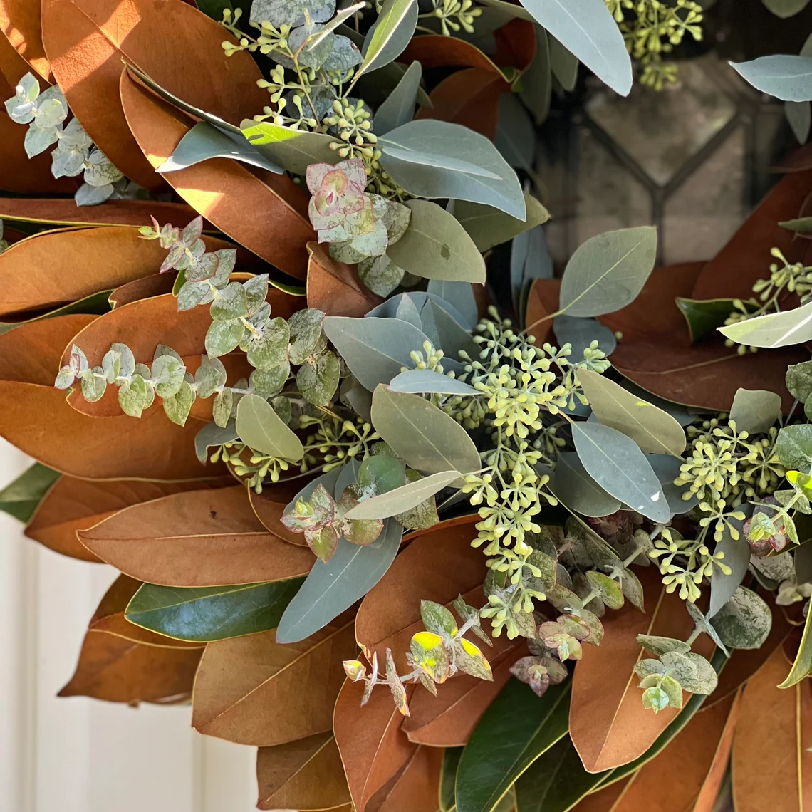 Fresh Magnolia Seeded Eucalyptus and Spiral Eucalyptus Wreath