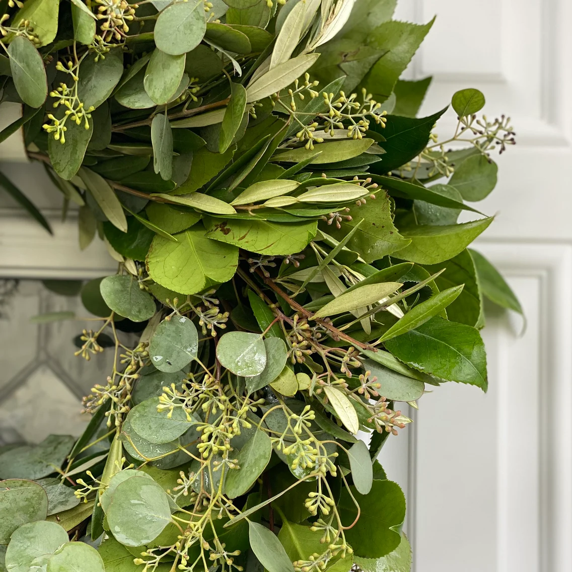 Fresh Seeded Eucalyptus Olive and Camellia Wreath