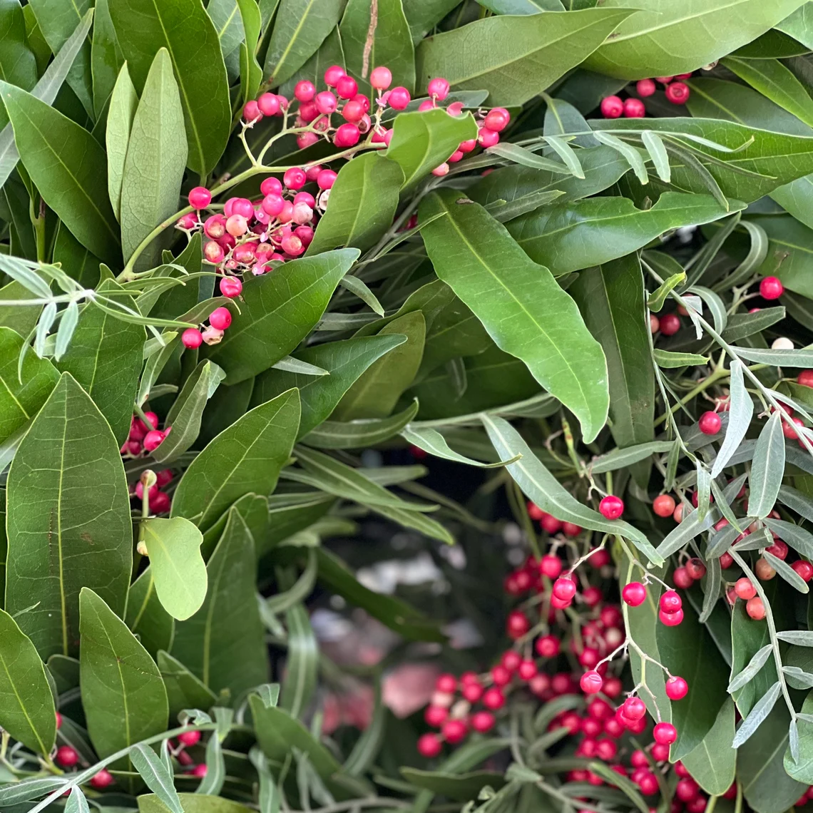 Fresh Bay Leaf and Pepper Berry Wreath