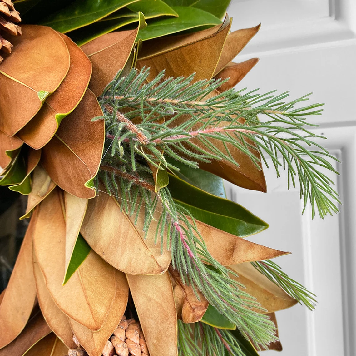 Fresh Magnolia, Pine Aussi, and Pinecone Wreath