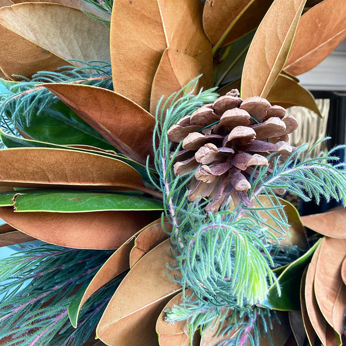 Fresh Magnolia, Pine Aussi, and Pinecone Wreath