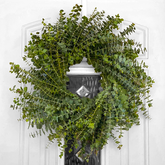 Fresh Spiral Eucalyptus Greenery Wreath