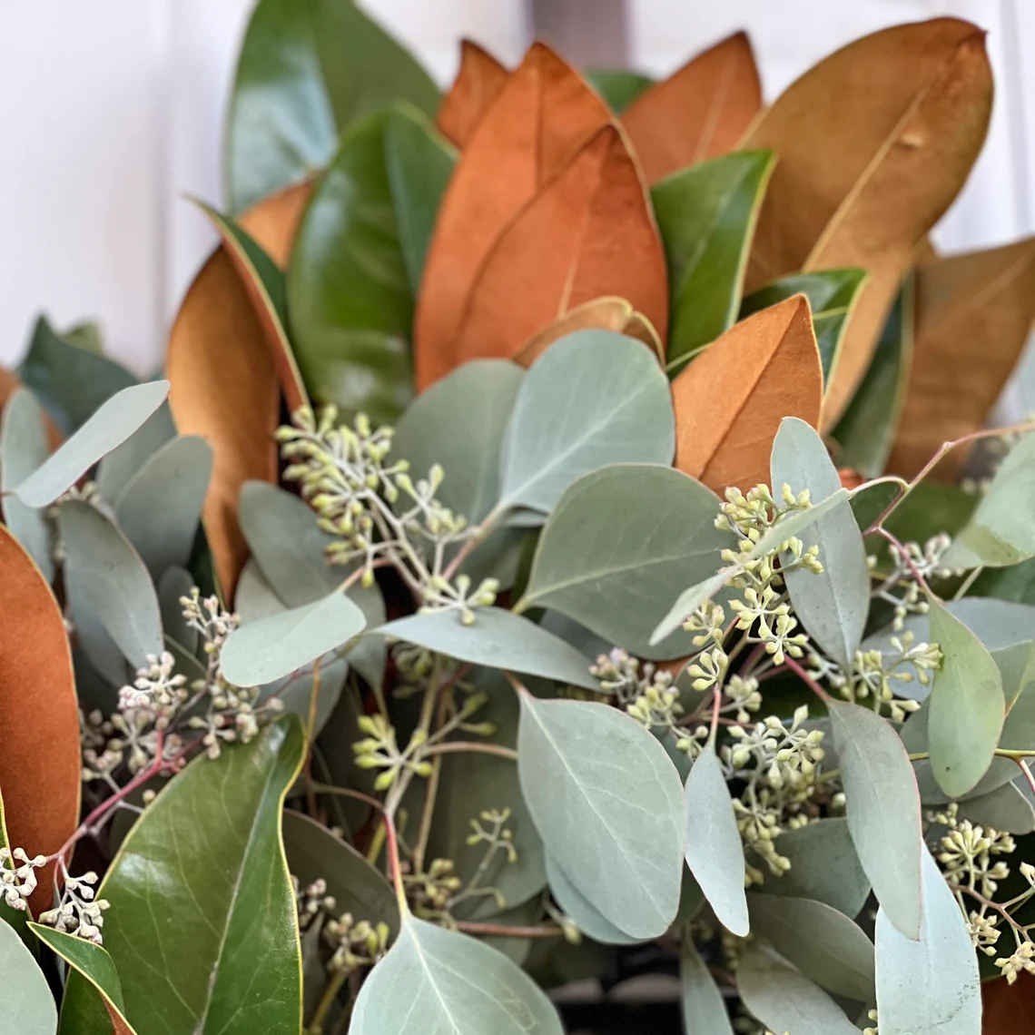 Fresh Seeded Eucalyptus and Magnolia Wreath