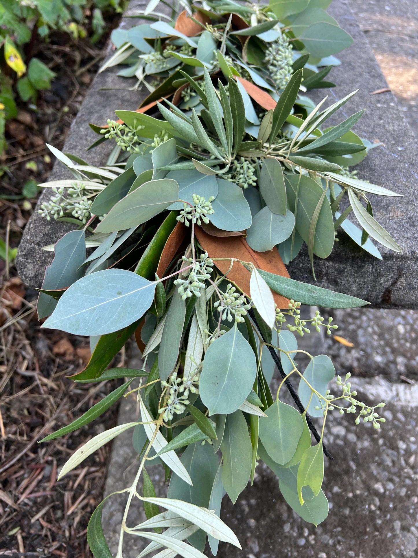 Fresh Magnolia, Olive, and Seeded Eucalyptus Garland