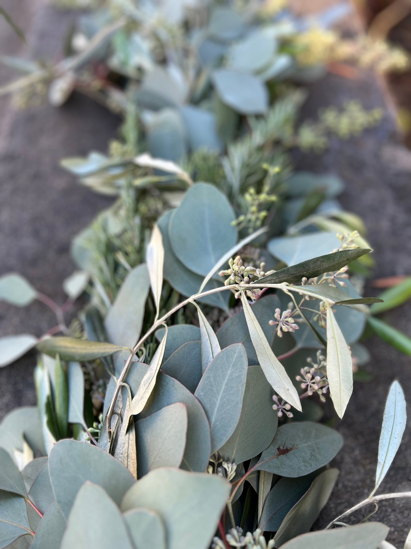 Fresh Rosemary, Olive, and Seeded Eucalyptus Garland