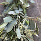 Fresh Rosemary, Olive, and Seeded Eucalyptus Garland