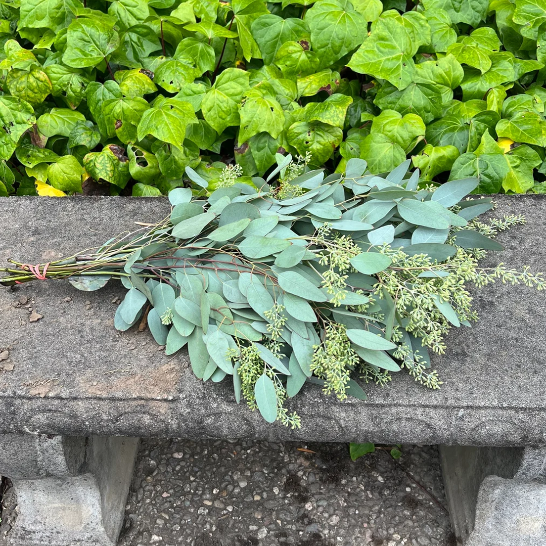 Fresh Seeded Eucalyptus Bunch